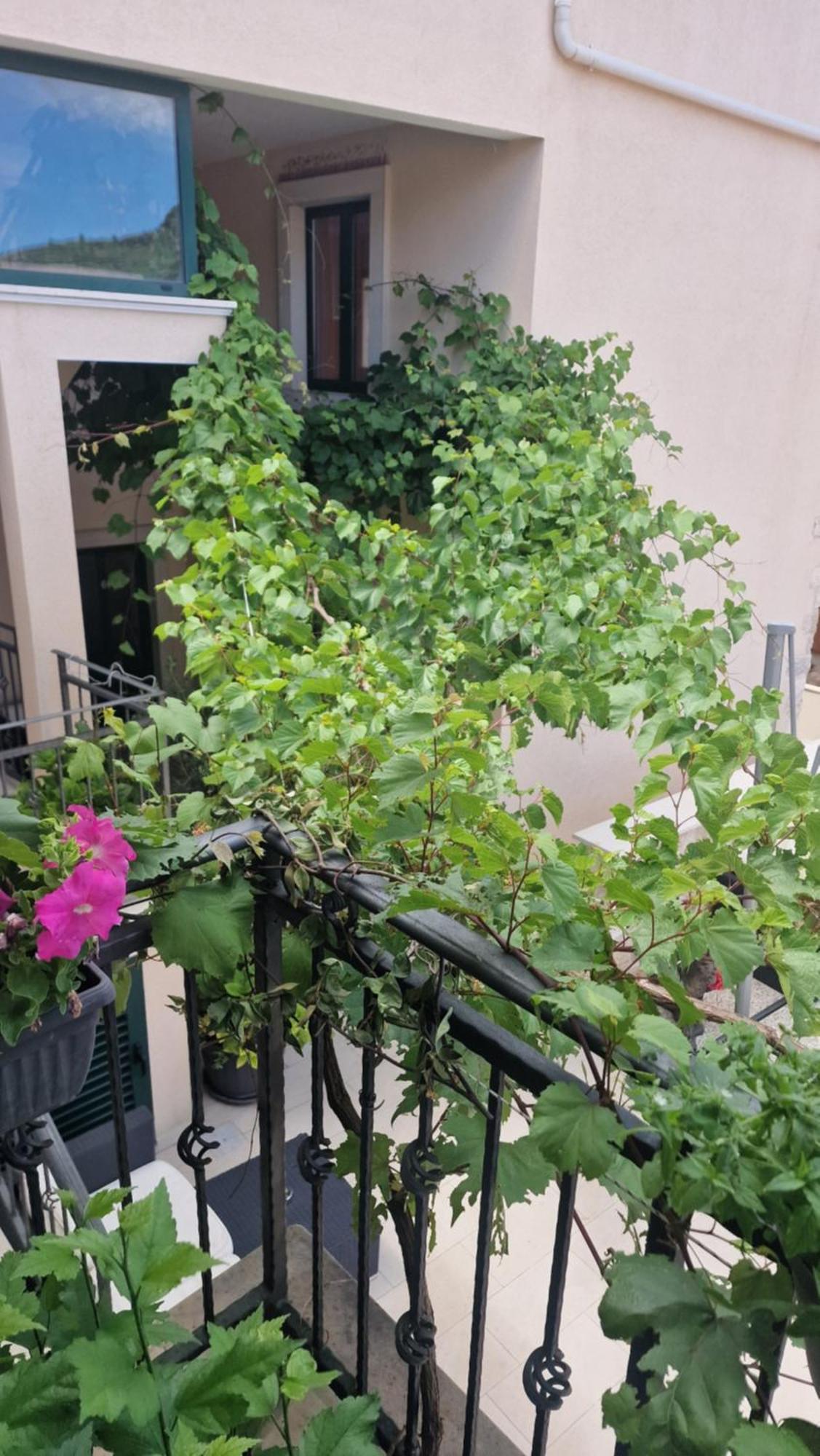 Apartments Ante 2 Хвар Экстерьер фото